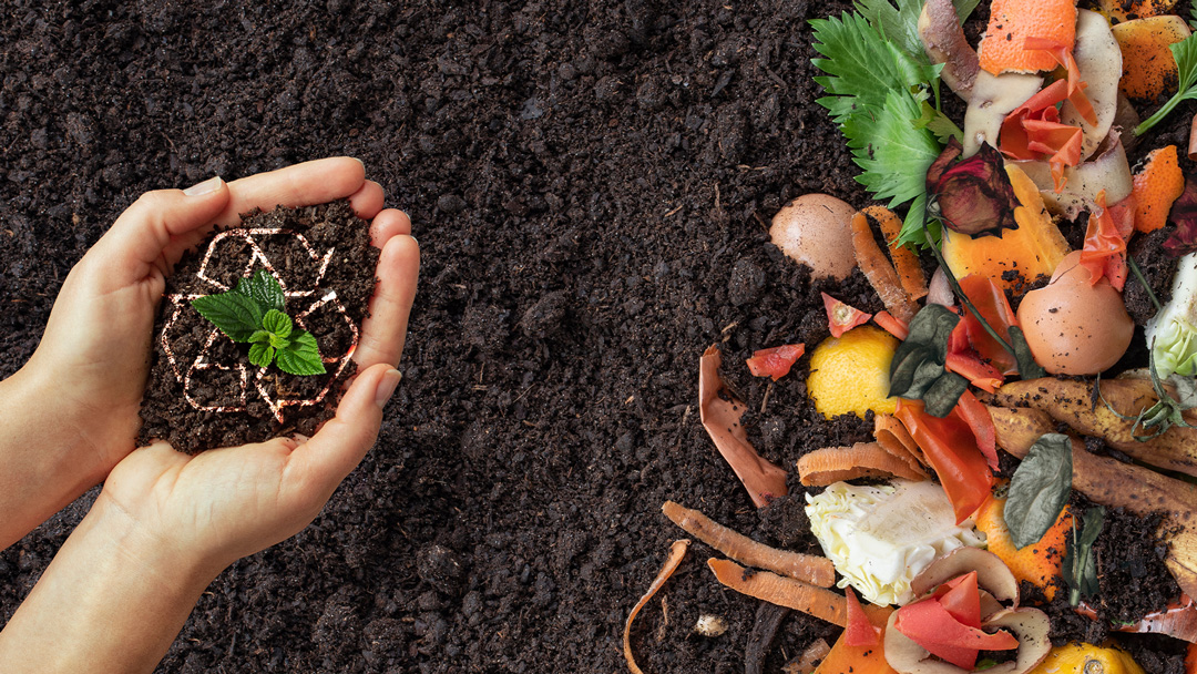 LET’S LEARN ABOUT COMPOSTING