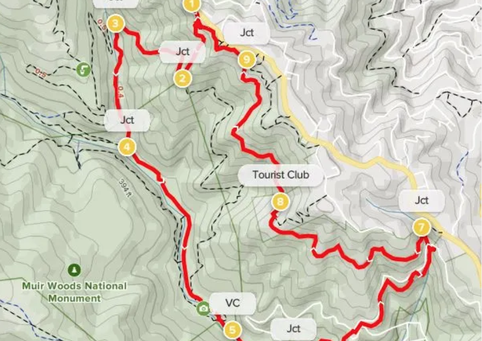 MUIR WOODS LOOP FROM MOUNTAIN HOME INN