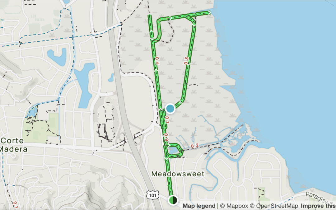 Walk & Hike: Corte Madera Marshland Walk – CANCELLED