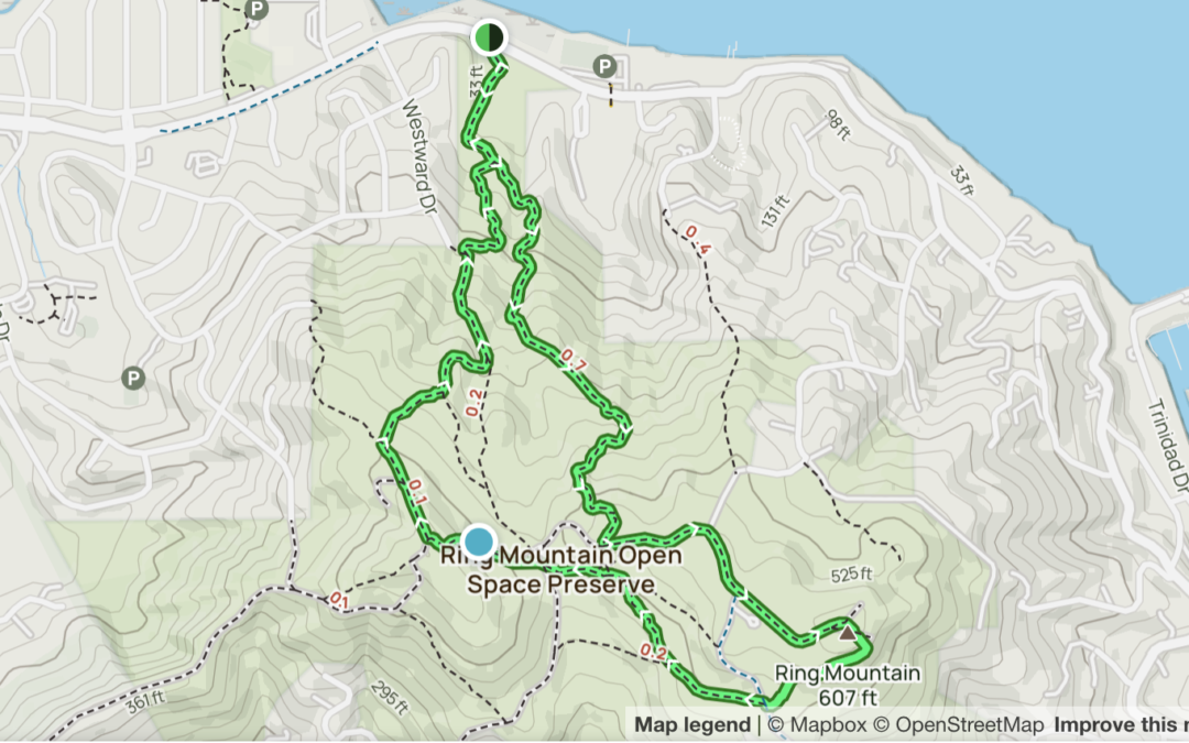 Walk & Hiking: Ring Mountain Loop