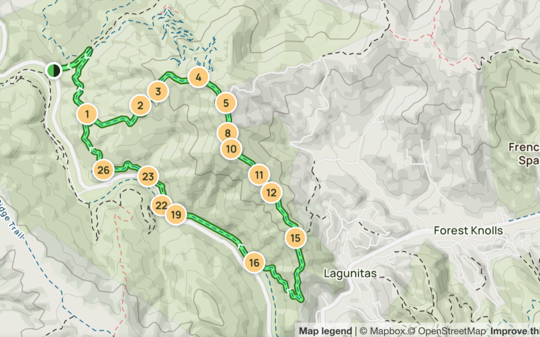 Walk & Hiking: Mount Barnabe Fireroad Loop