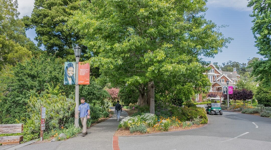 Walk & Hiking: Dominican University Campus Walk