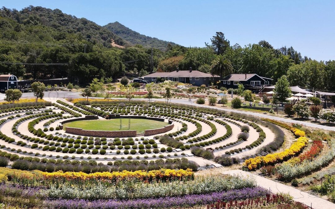 Sonoma Horticultural Nursery